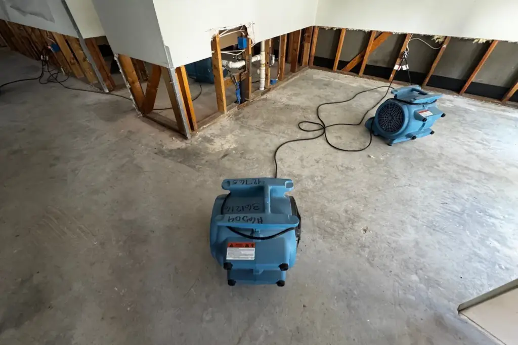 Air movers and exposed wall studs during water damage drying